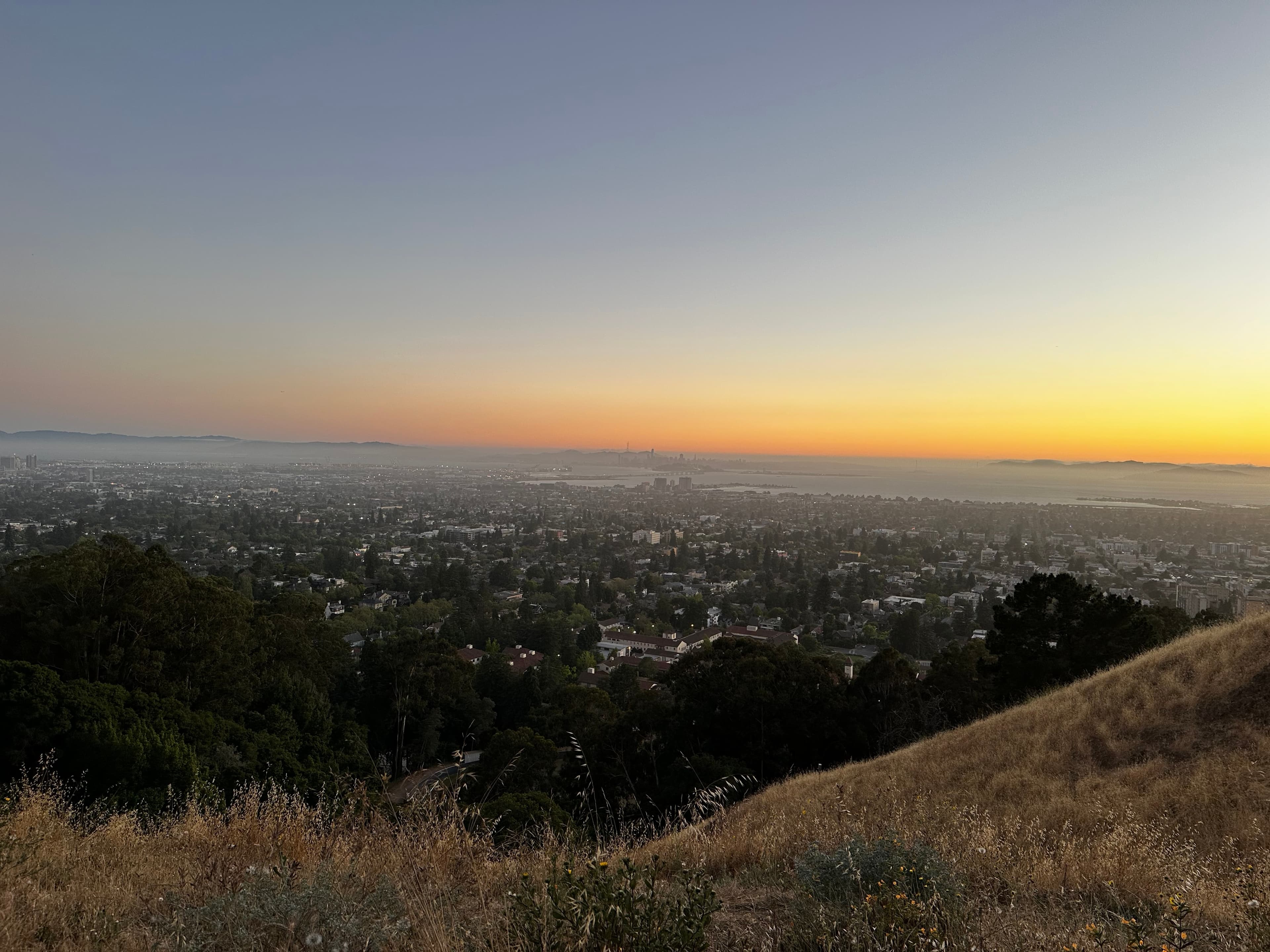 university applications